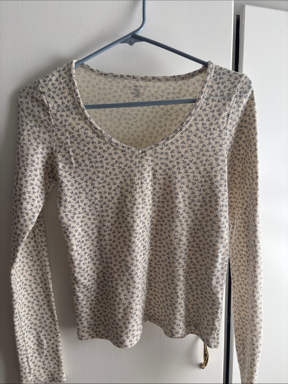 Brandy Melville Cream Floral Long-Sleeve V-Neck Top